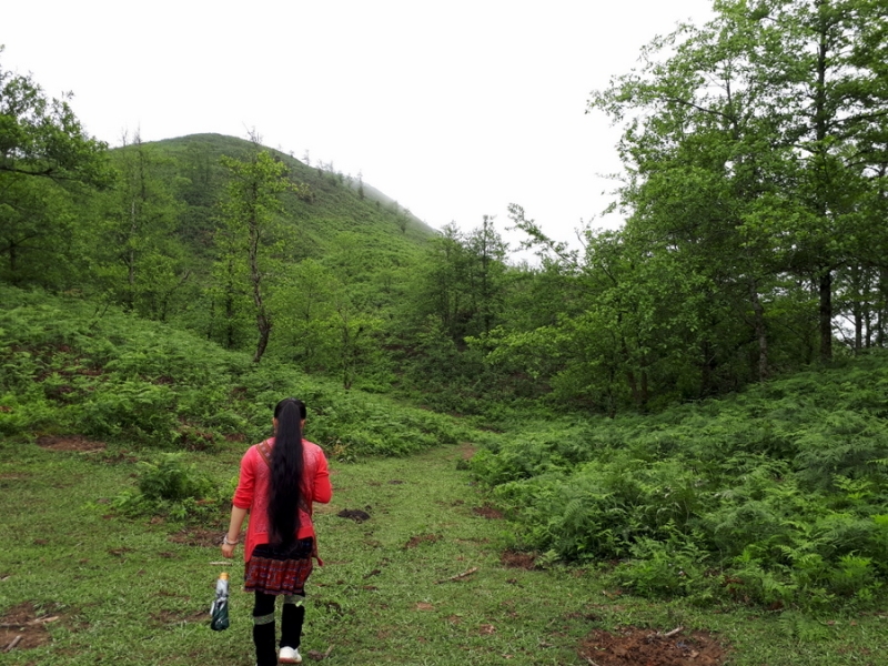 hiking