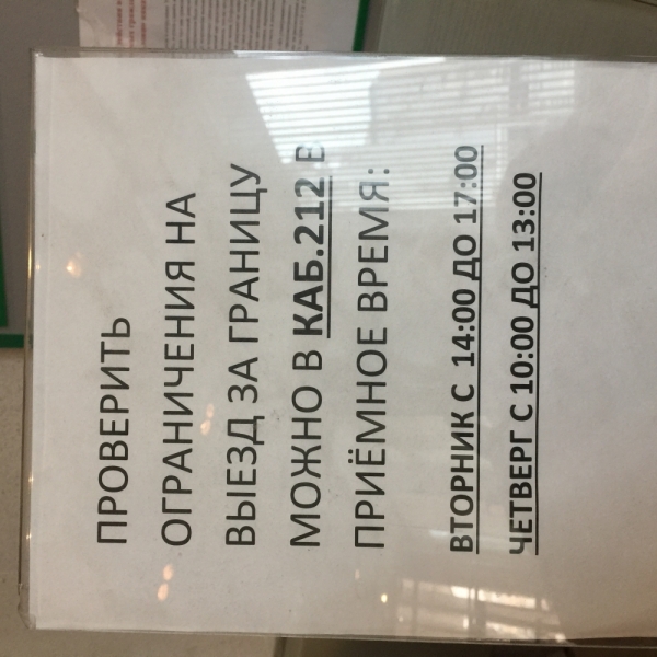 Как узнать выездной ли ты: проверить запрет на выезд за границу (до 2020)