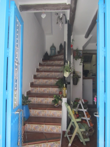 Фрихилиана