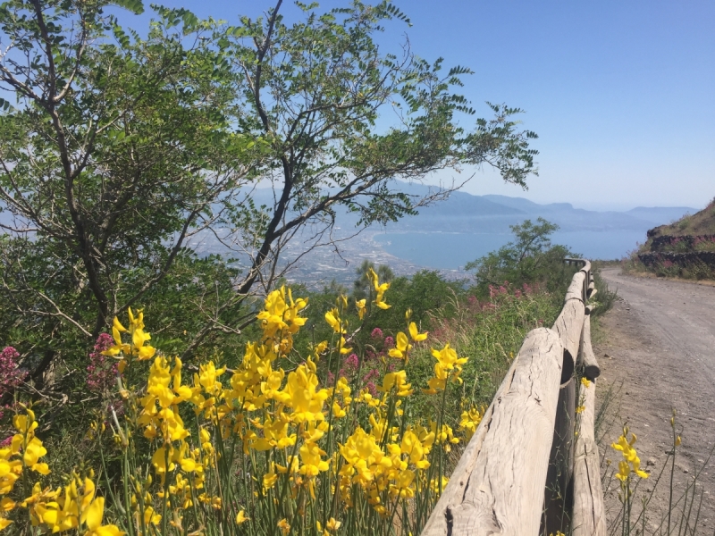 Амальфитанское побережье - июнь 2017