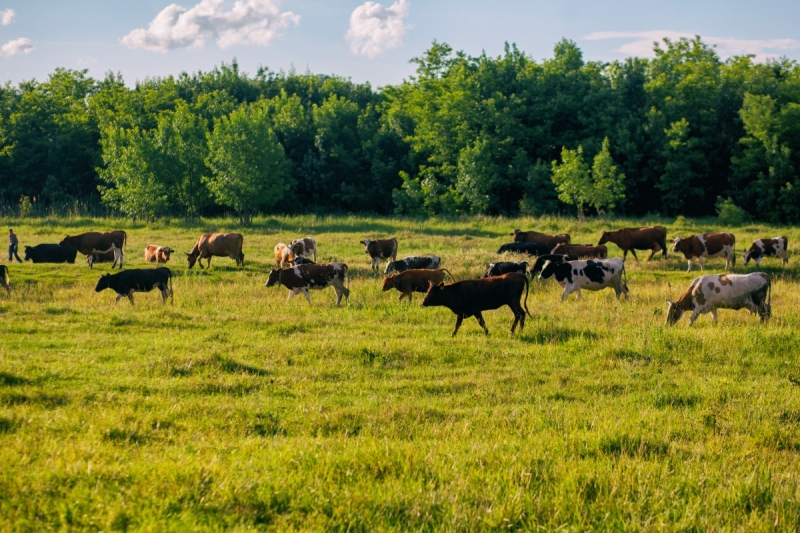 Наш 2016! Крым в июне.