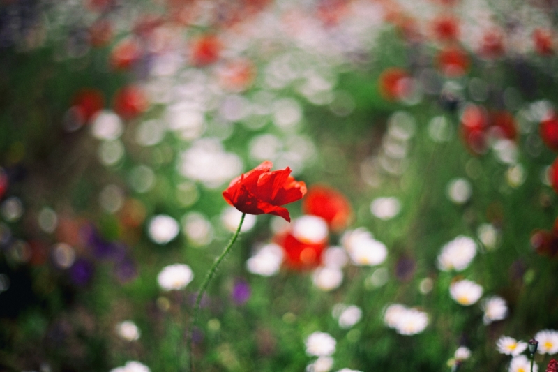 Наш 2016! Крым в июне.