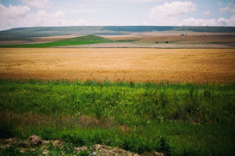 Наш 2016! Крым в июне.