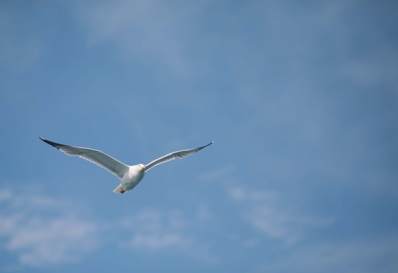 Наш 2016! Крым в июне.