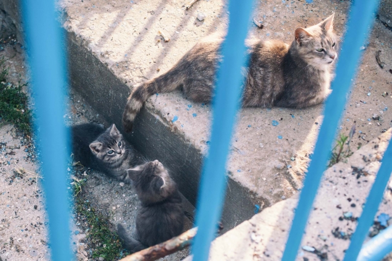 Наш 2016! Крым в июне.