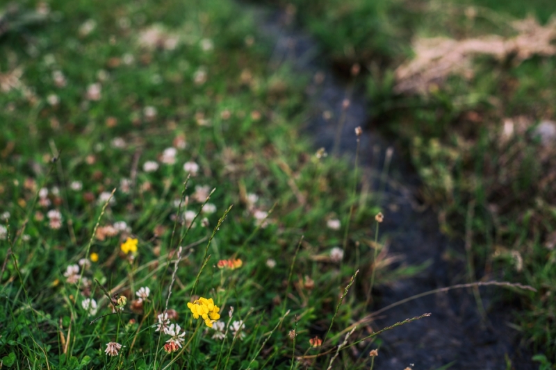 Наш 2016! Крым в июне.