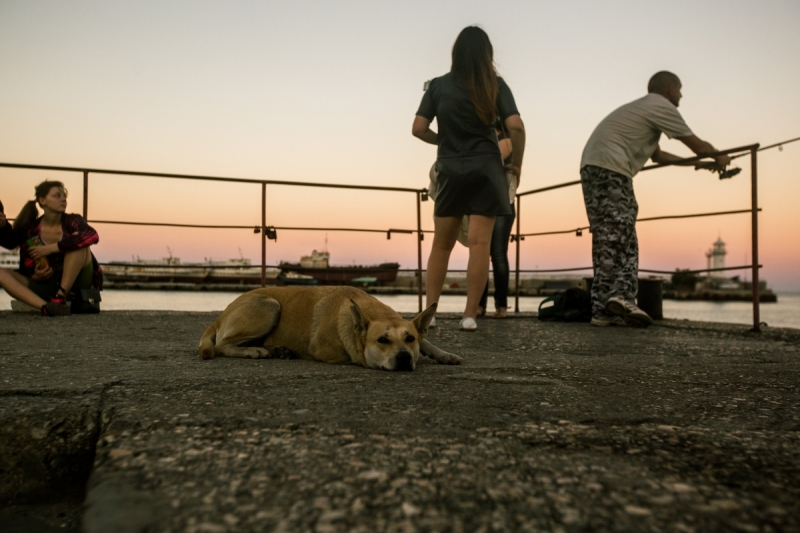 Наш 2016! Крым в июне.