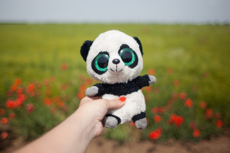 Наш 2016! Крым в июне.