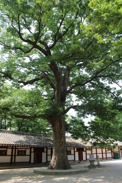 Северная Корея: мифология и реальность