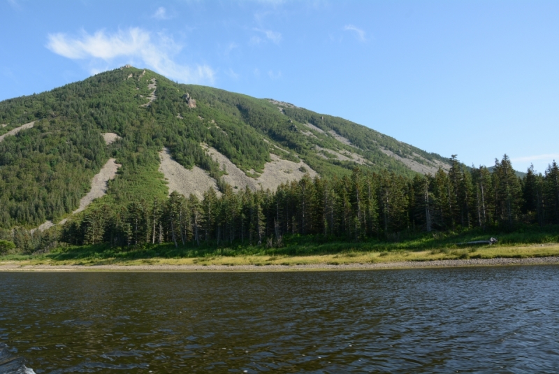 Амур, Шантары, Сахалин