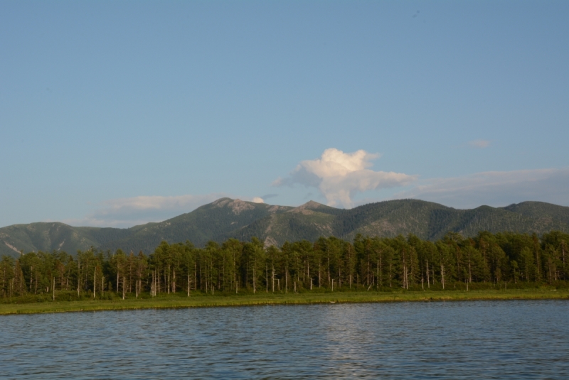 Амур, Шантары, Сахалин