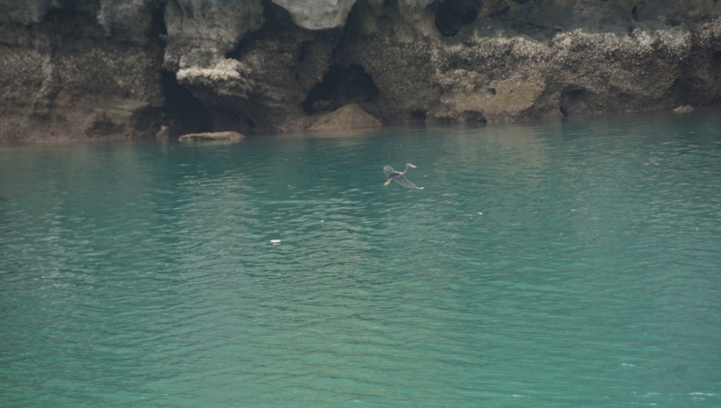 Halong Bay 1