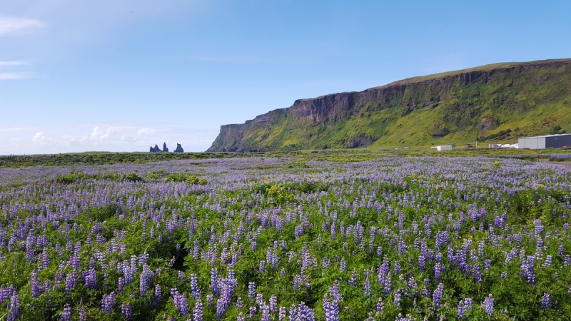 Исландия по часовой на внедорожнике и с палатками. Июнь-Июль 2017.
