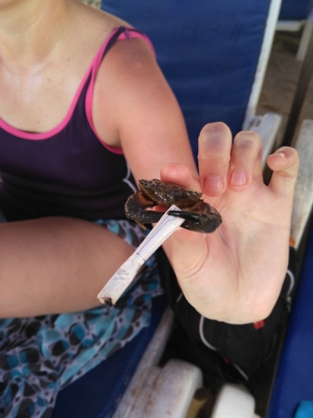 Паттайя-Екатеринбург 4:0. Короткое  мартовское чаепитие 2017.