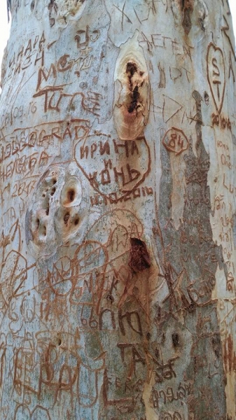 Паттайя-Екатеринбург 4:0. Короткое  мартовское чаепитие 2017.