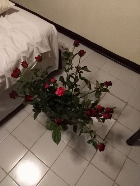 Паттайя-Екатеринбург 4:0. Короткое  мартовское чаепитие 2017.