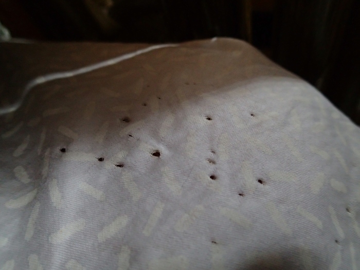 Кошки в нашей жизни. Кошки и все, что с ними связано.