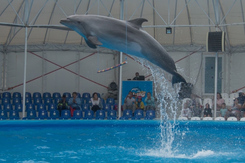 Наш 2017!  Июнь. Кояшское озеро- Феодосия - Новый Свет - Демерджи - Воронцовский дворец - Севастополь - Чуфут-Кале - Евпатория - мыс Меганом