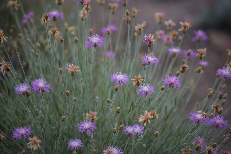 Наш 2017!  Июнь. Кояшское озеро- Феодосия - Новый Свет - Демерджи - Воронцовский дворец - Севастополь - Чуфут-Кале - Евпатория - мыс Меганом