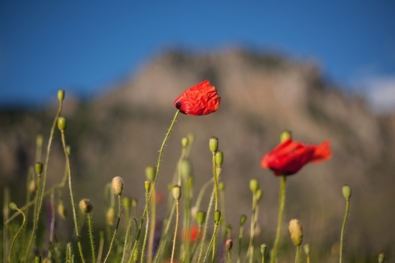 Наш 2017!  Июнь. Кояшское озеро- Феодосия - Новый Свет - Демерджи - Воронцовский дворец - Севастополь - Чуфут-Кале - Евпатория - мыс Меганом