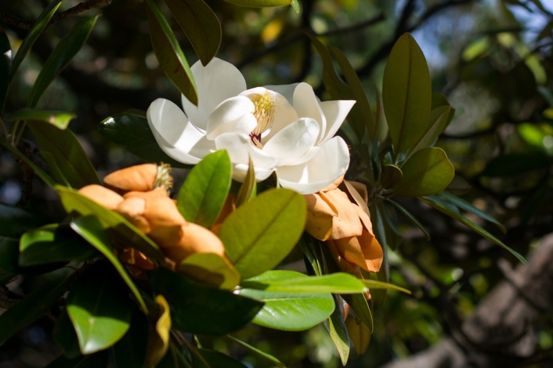 Наш 2017!  Июнь. Кояшское озеро- Феодосия - Новый Свет - Демерджи - Воронцовский дворец - Севастополь - Чуфут-Кале - Евпатория - мыс Меганом