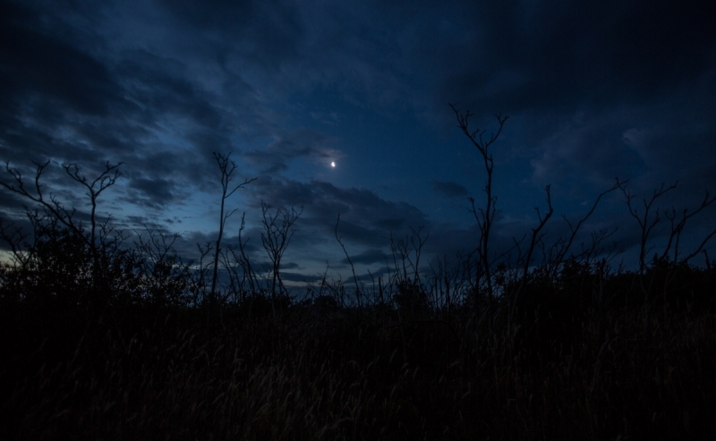 Наш 2017!  Июнь. Кояшское озеро- Феодосия - Новый Свет - Демерджи - Воронцовский дворец - Севастополь - Чуфут-Кале - Евпатория - мыс Меганом