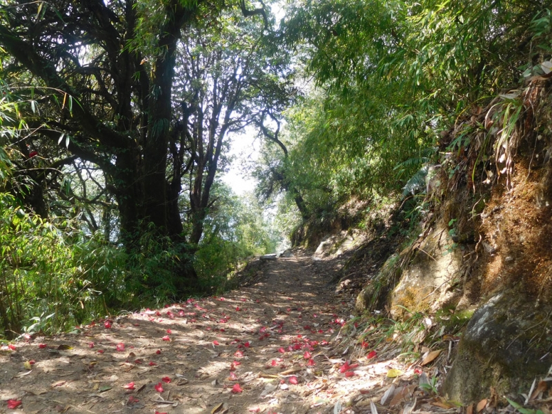 Вверх по Kali, по Gandaki