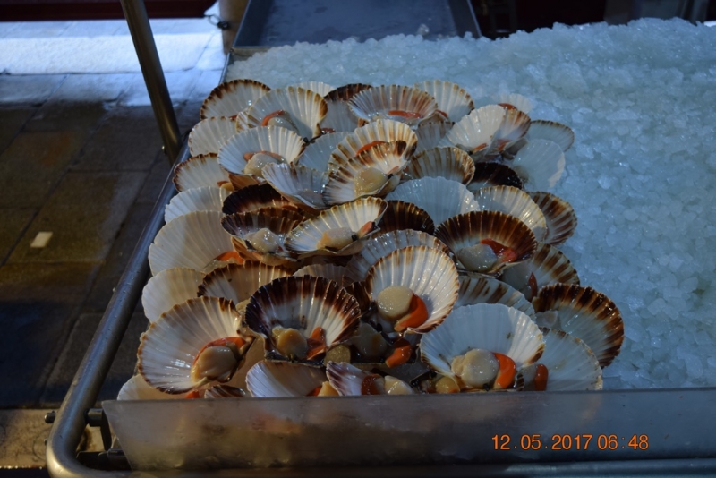 Италия от Венеции до Сиракузы за 15 дней на самолётах, поездах, паромах, автобусе и автомобиле.