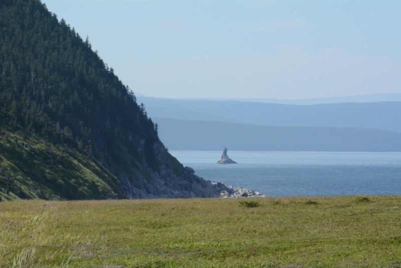 Амур, Шантары, Сахалин