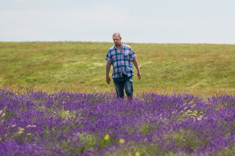 Наш 2017!  Июнь. Кояшское озеро- Феодосия - Новый Свет - Демерджи - Воронцовский дворец - Севастополь - Чуфут-Кале - Евпатория - мыс Меганом