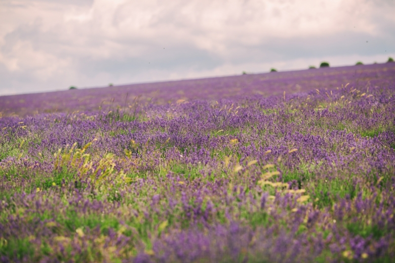 Наш 2017!  Июнь. Кояшское озеро- Феодосия - Новый Свет - Демерджи - Воронцовский дворец - Севастополь - Чуфут-Кале - Евпатория - мыс Меганом