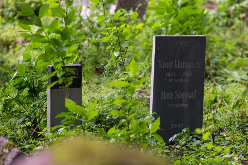 Наш 2017!  Июнь. Кояшское озеро- Феодосия - Новый Свет - Демерджи - Воронцовский дворец - Севастополь - Чуфут-Кале - Евпатория - мыс Меганом