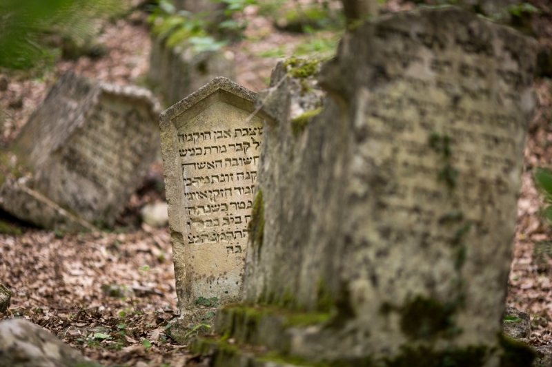 Наш 2017!  Июнь. Кояшское озеро- Феодосия - Новый Свет - Демерджи - Воронцовский дворец - Севастополь - Чуфут-Кале - Евпатория - мыс Меганом