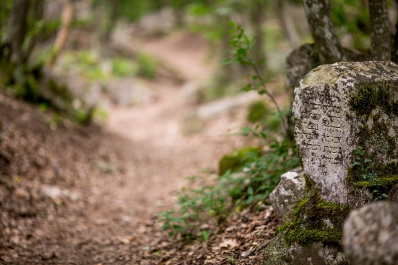 Наш 2017!  Июнь. Кояшское озеро- Феодосия - Новый Свет - Демерджи - Воронцовский дворец - Севастополь - Чуфут-Кале - Евпатория - мыс Меганом