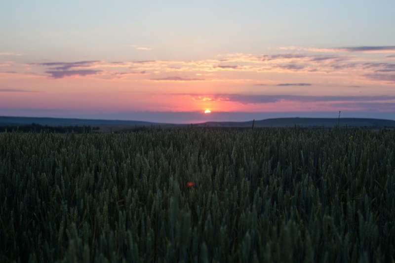 Наш 2017!  Июнь. Кояшское озеро- Феодосия - Новый Свет - Демерджи - Воронцовский дворец - Севастополь - Чуфут-Кале - Евпатория - мыс Меганом