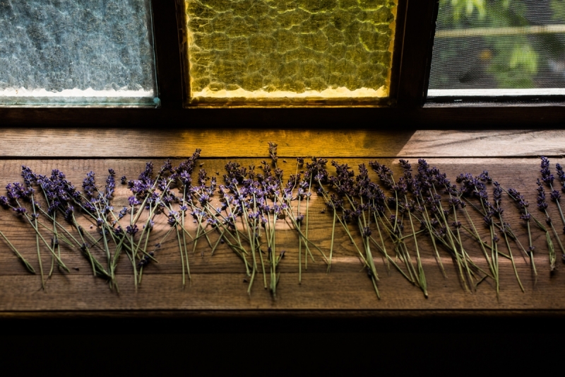 Наш 2017!  Июнь. Кояшское озеро- Феодосия - Новый Свет - Демерджи - Воронцовский дворец - Севастополь - Чуфут-Кале - Евпатория - мыс Меганом