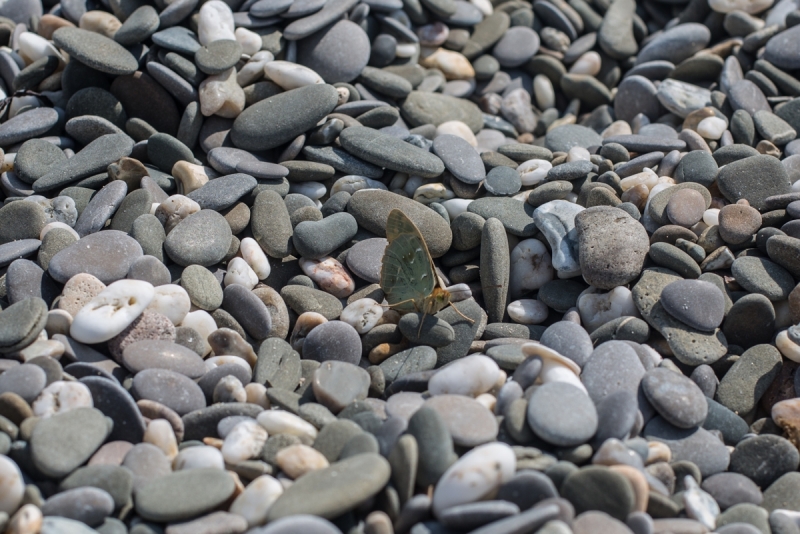 Наш 2017!  Июнь. Кояшское озеро- Феодосия - Новый Свет - Демерджи - Воронцовский дворец - Севастополь - Чуфут-Кале - Евпатория - мыс Меганом