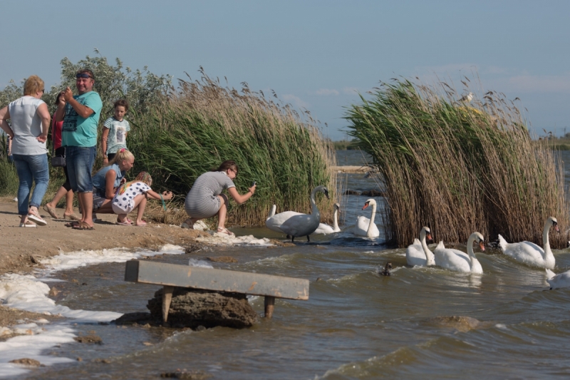 Наш 2017!  Июнь. Кояшское озеро- Феодосия - Новый Свет - Демерджи - Воронцовский дворец - Севастополь - Чуфут-Кале - Евпатория - мыс Меганом