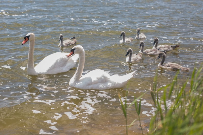 Наш 2017!  Июнь. Кояшское озеро- Феодосия - Новый Свет - Демерджи - Воронцовский дворец - Севастополь - Чуфут-Кале - Евпатория - мыс Меганом