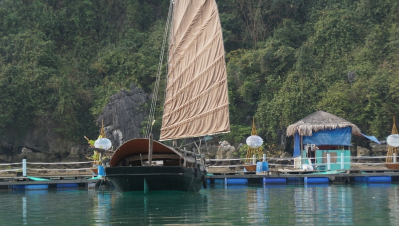 Halong Bay 3