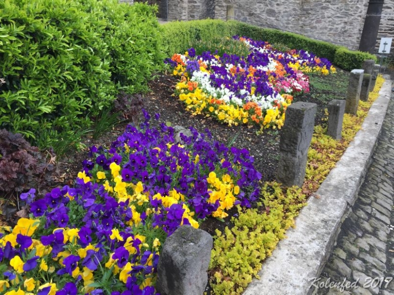 Юбилейный  автотрип  в Европу – весна 2017,