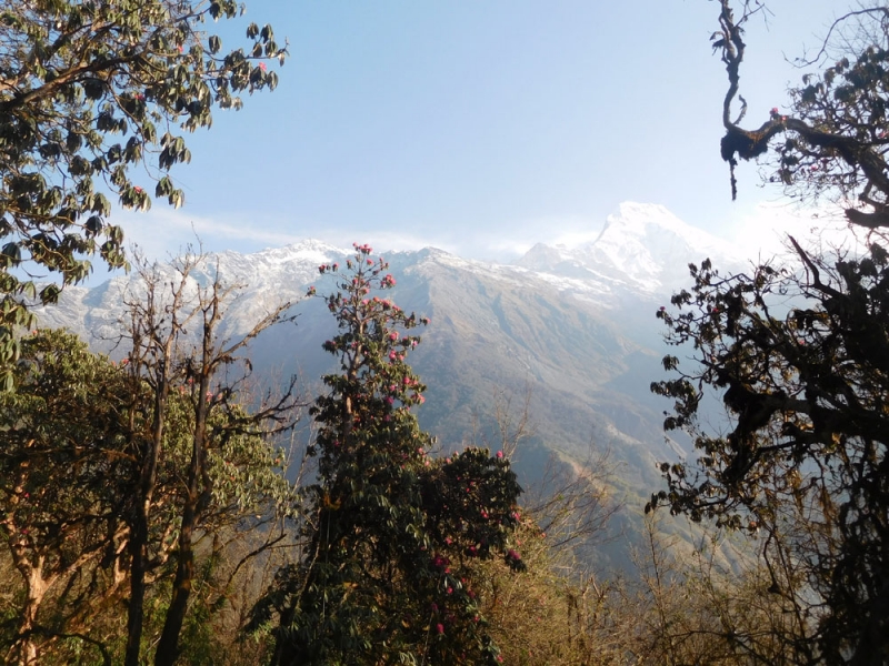 Вверх по Kali, по Gandaki