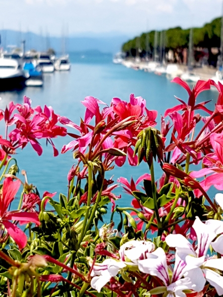 Север Италии. Июль'17 (Milano.Bergamo.Treviglio.Garda. Lecco. Crema. Lovere. Pisogne)