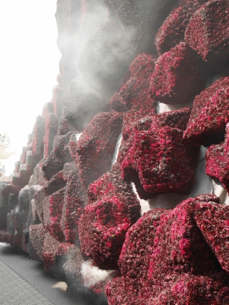 Цветочные парады Varend Corso (2017) и Corso Zundert (2017,2019) в Нидерландах