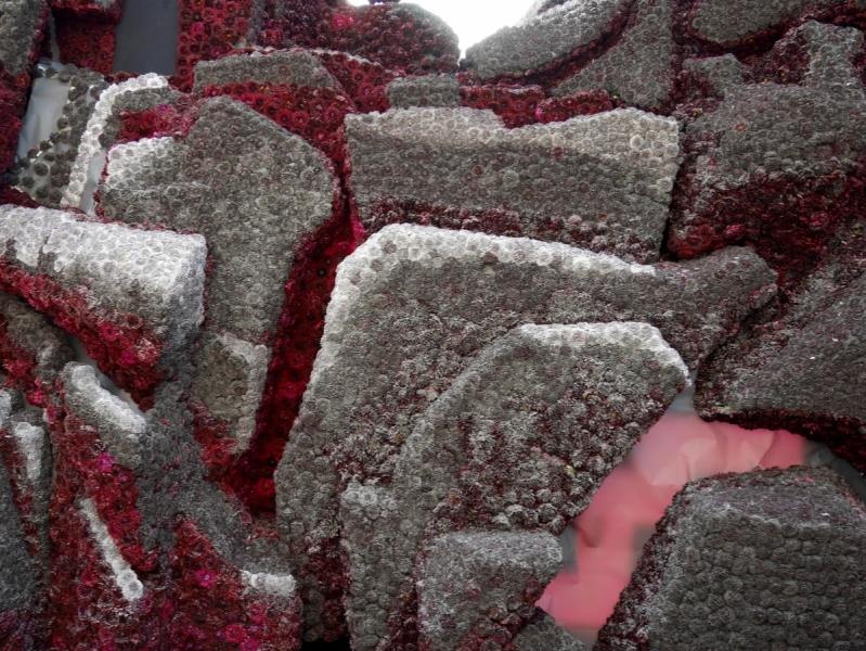 Цветочные парады Varend Corso (2017) и Corso Zundert (2017,2019) в Нидерландах