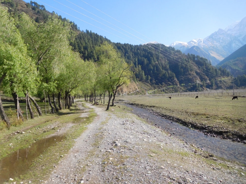 Вверх по Kali, по Gandaki