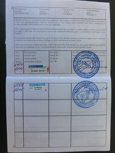 Как путешествовать с кошкой. Перевозка животных - правила и документы