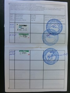 Как путешествовать с кошкой. Перевозка животных - правила и документы