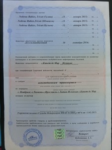 Как путешествовать с кошкой. Перевозка животных - правила и документы