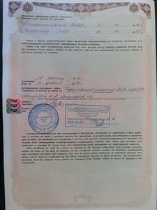 Как путешествовать с кошкой. Перевозка животных - правила и документы